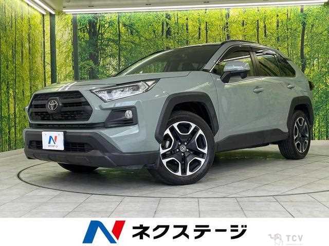 2019 Toyota RAV4