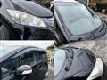 2011 Honda Freed
