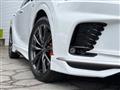 2025 Lexus RX