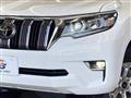 2019 Toyota Land Cruiser Prado