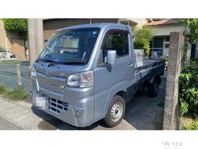 2019 Daihatsu Hijet Truck