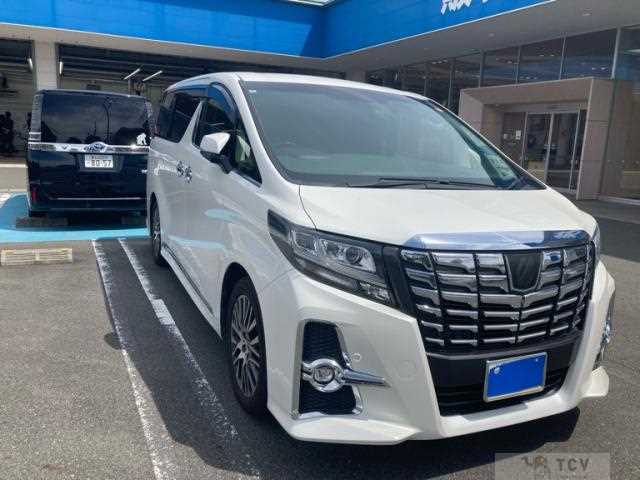 2016 Toyota Alphard G