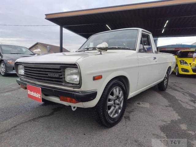 1993 Nissan Sunny Truck