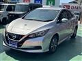 2019 Nissan Leaf