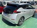 2019 Nissan Leaf
