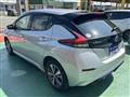 2019 Nissan Leaf