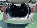2019 Nissan Leaf