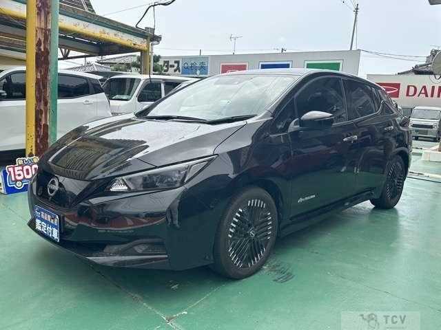 2025 Nissan Leaf