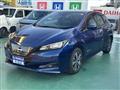 2021 Nissan Leaf