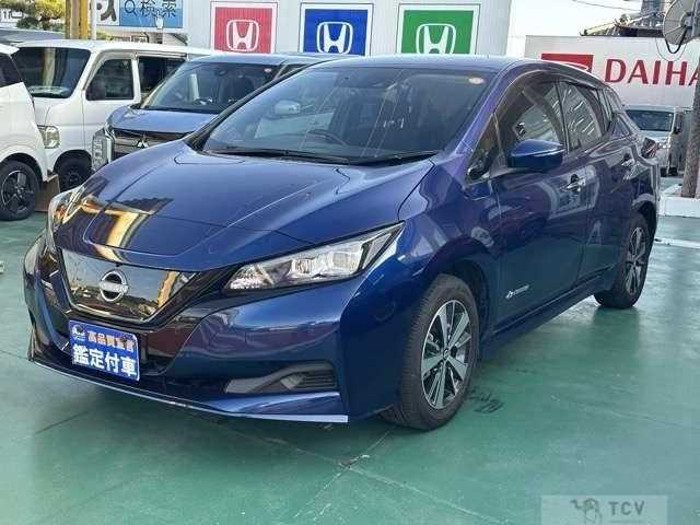 2021 Nissan Leaf