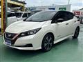 2021 Nissan Leaf