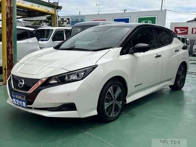 2021 Nissan Leaf