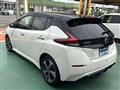 2021 Nissan Leaf