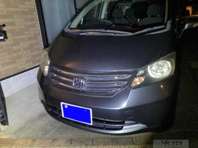 2010 Honda Freed
