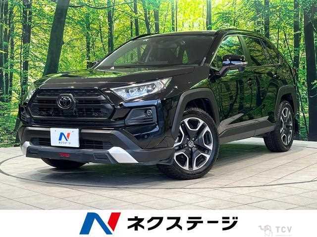 2019 Toyota RAV4