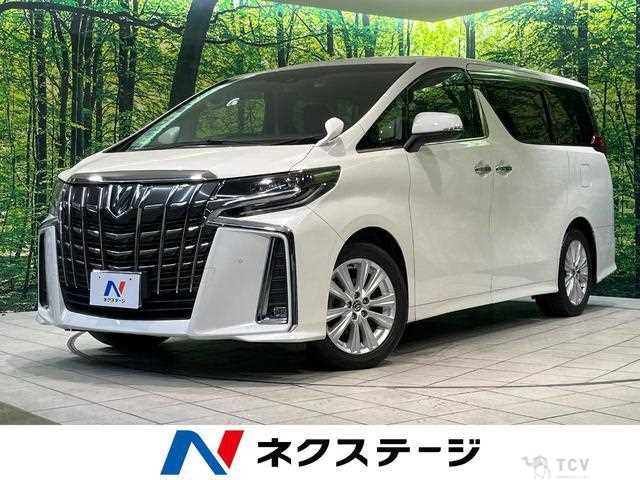 2019 Toyota Alphard G