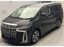 2019 Toyota Alphard G