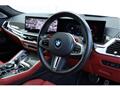 2024 BMW X6