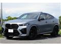 2024 BMW X6