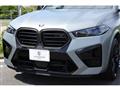 2024 BMW X6