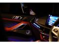 2024 BMW X6