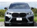 2024 BMW X6