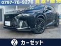 2025 Lexus RX