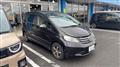2009 Honda Freed