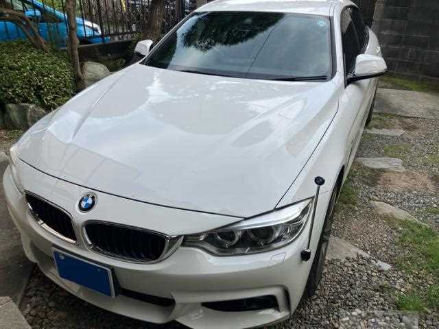 2015 BMW BMW Others