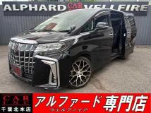 2019 Toyota Alphard G