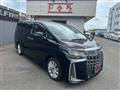 2020 Toyota Alphard G