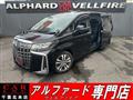 2019 Toyota Alphard G