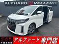 2021 Toyota Alphard G