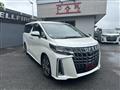 2021 Toyota Alphard G