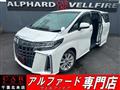 2019 Toyota Alphard G