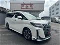 2019 Toyota Alphard G