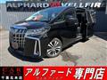 2019 Toyota Alphard G