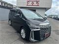 2018 Toyota Alphard G