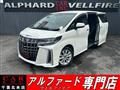 2019 Toyota Alphard G