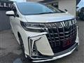 2019 Toyota Alphard G