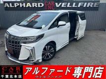 2019 Toyota Alphard G