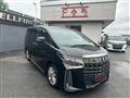 2020 Toyota Alphard G