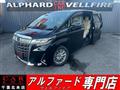 2019 Toyota Alphard G