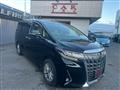 2019 Toyota Alphard G