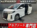 2019 Toyota Alphard Hybrid