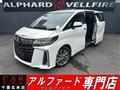 2021 Toyota Alphard G