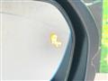 2024 Honda Step WGN