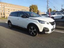 2020 Peugeot Peugoet Others