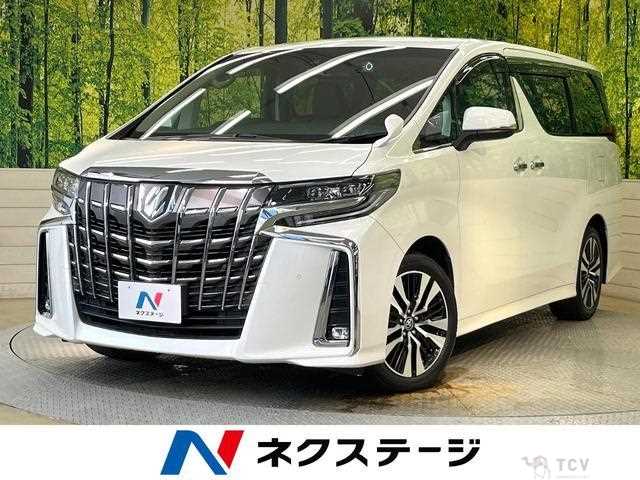 2019 Toyota Alphard G