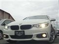2015 BMW BMW Others